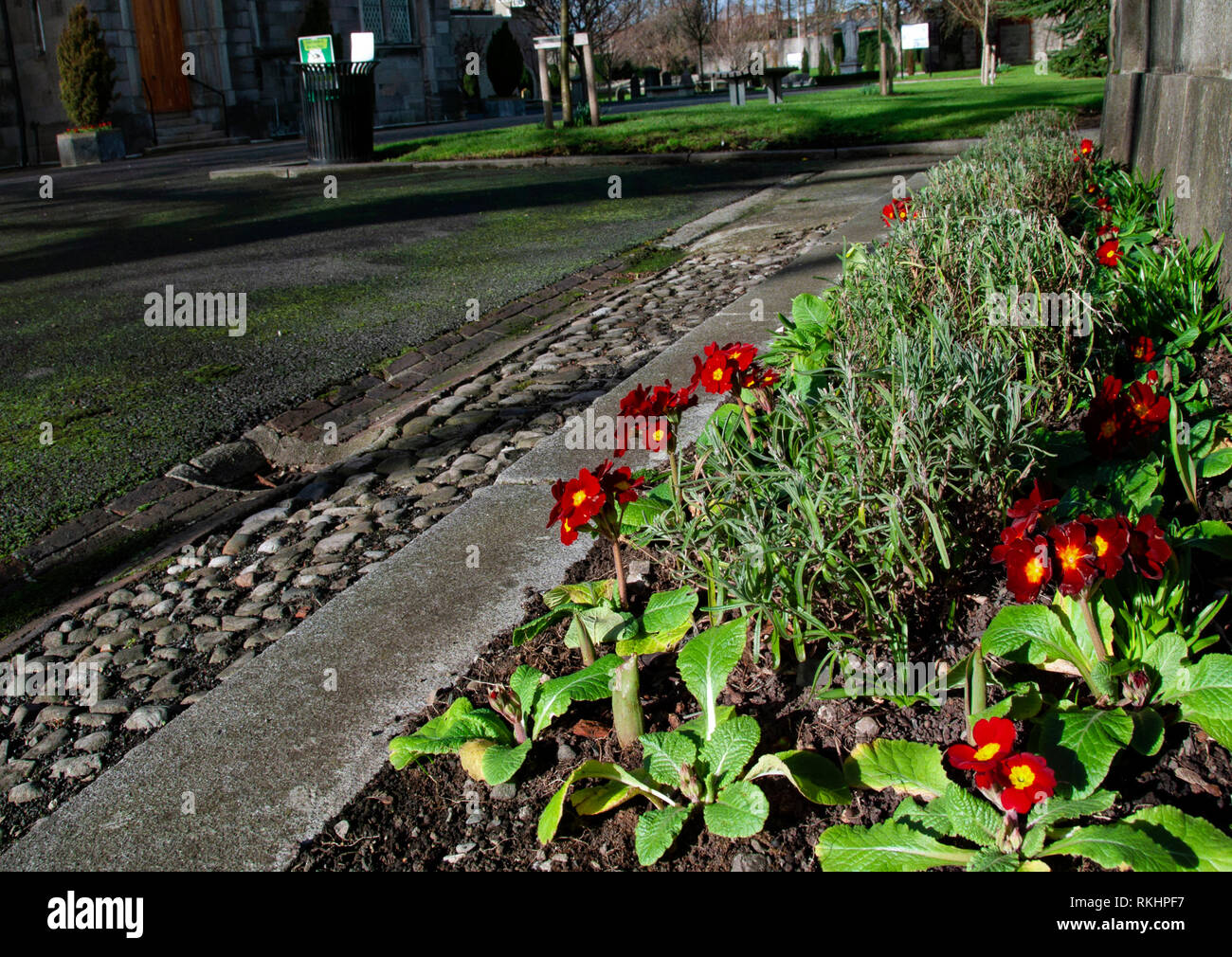 Arbour Hill,Museo Nazionale d Irlanda.cimitero comprende la trama di sepoltura dei firmatari della Proclamazione pasquale che ha cominciato il 1916. Foto Stock