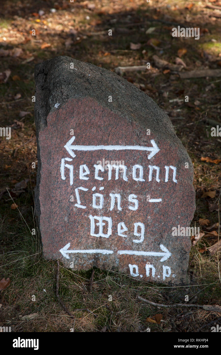 Rock con riferimento Hermann Loens-Weg, Lueneburger Heath vicino a Undeloh Totengrund, Parco Naturale Lueneburger Heide, Bassa Sassonia, Germania, Europa Foto Stock