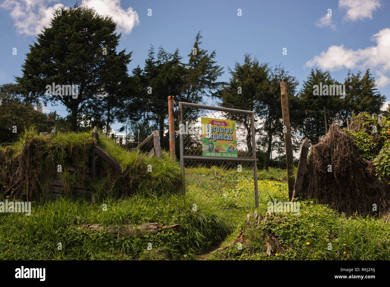 Santa Elena, Medellin. Antioquia, Colombia: alimenti biologici. Foto Stock