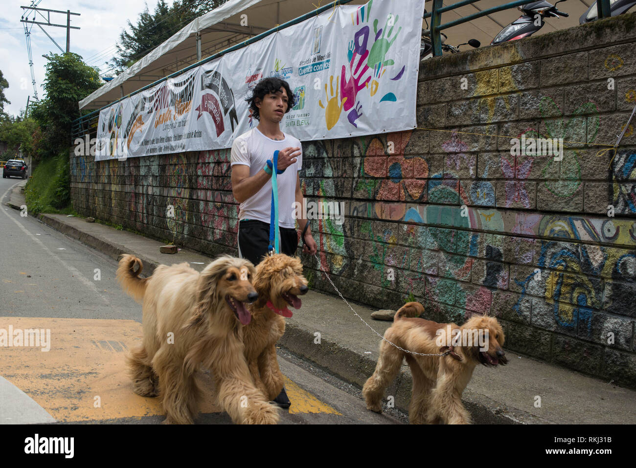 Santa Elena, Medellin. Antioquia, Colombia: dog sitter. Foto Stock
