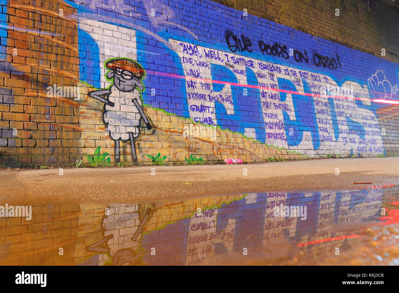 Arte di strada su un muro sotto un ponte ferroviario che attraversa il canale di Leeds fino a Liverpool nel centro di Leeds. Foto Stock