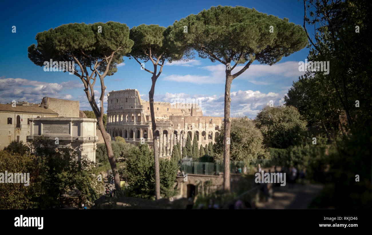 Vista del Colosseo romano attraverso gli alberi a Roma, Italia, persone sfocato Foto Stock