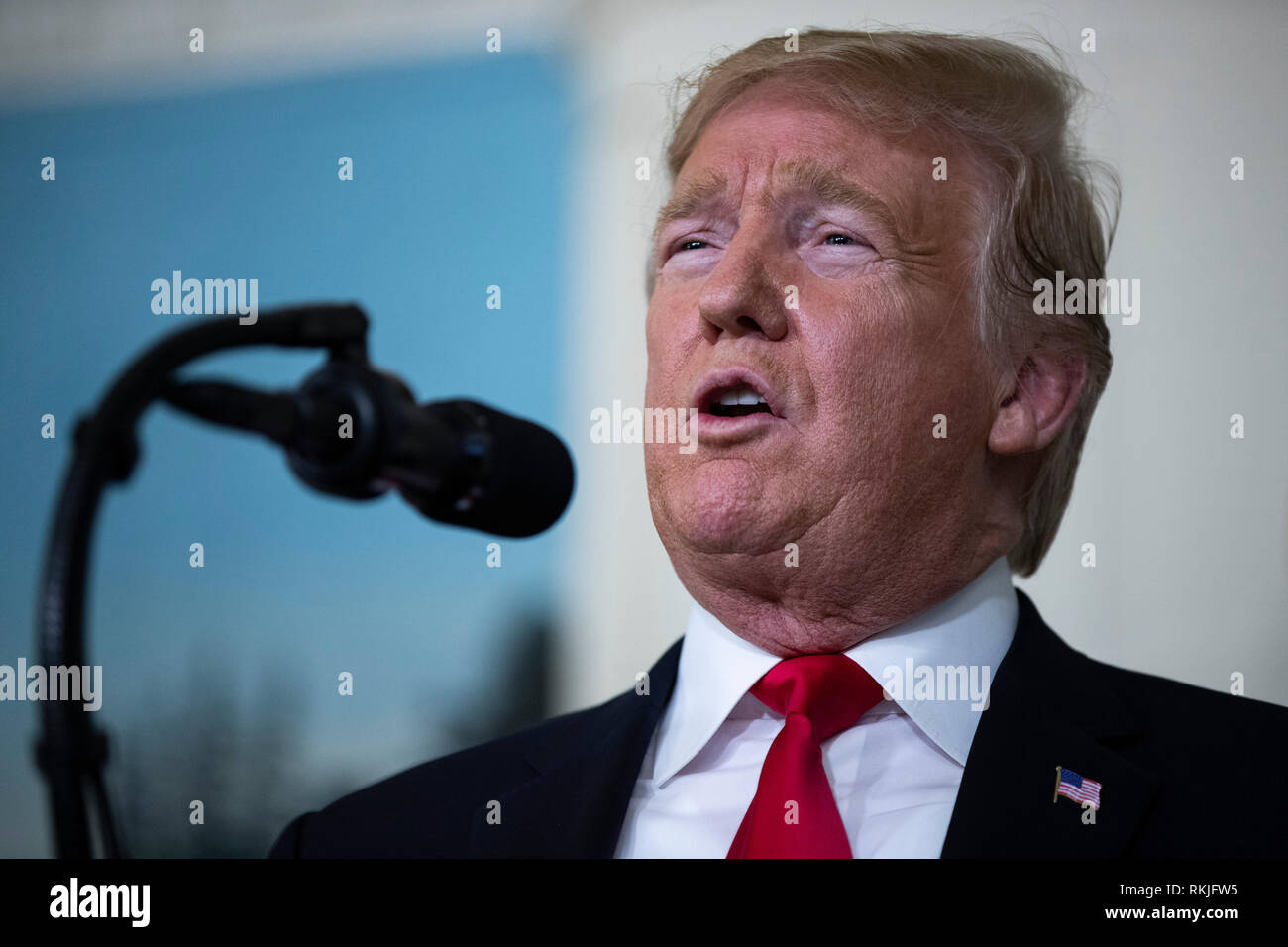 Il presidente statunitense Donald Trump offre commento del diplomatico sala reception della Casa Bianca a Washington D.C. il 19 gennaio 2019. Trump ha parlato di un nuovo piano per fissare la frontiera USA e ri-aprire il governo degli Stati Uniti che rimane l'arresto. Foto Stock