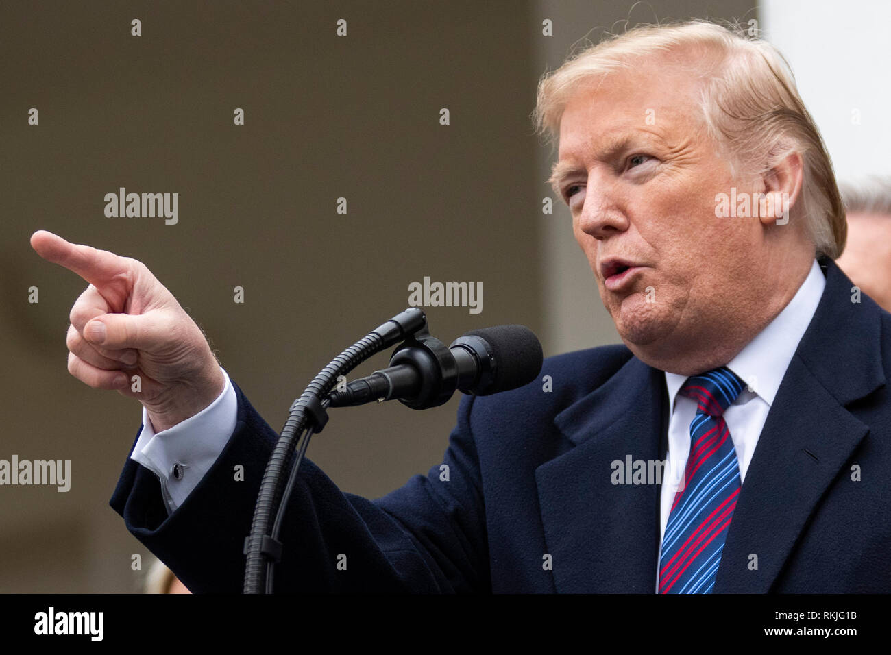 Il presidente statunitense Donald Trump parla ai giornalisti nel Giardino delle Rose della Casa Bianca il 4 gennaio 2019. Foto Stock