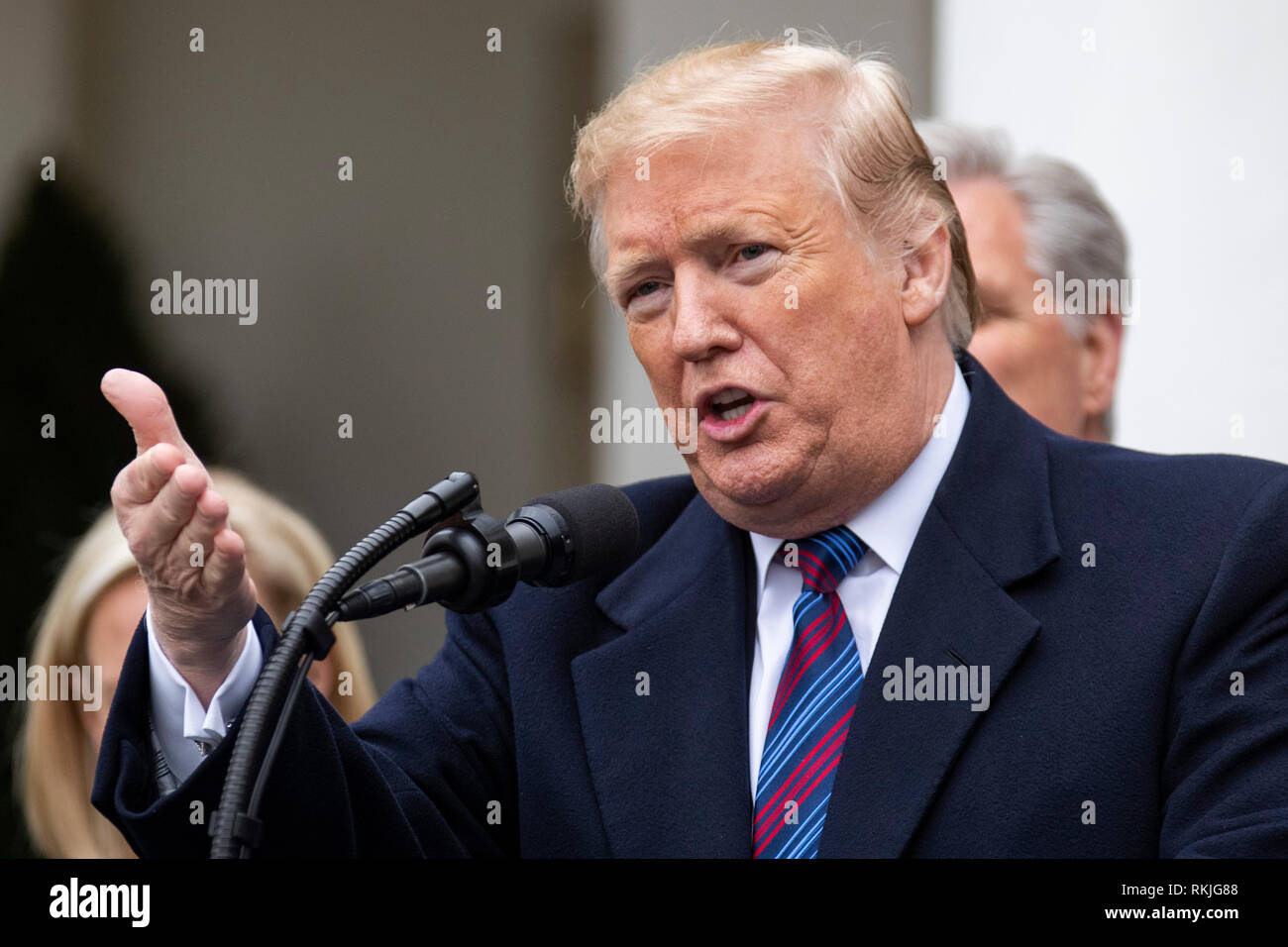 Il presidente statunitense Donald Trump parla ai giornalisti nel Giardino delle Rose della Casa Bianca il 4 gennaio 2019. Foto Stock