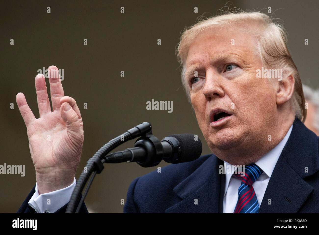 Il presidente statunitense Donald Trump parla ai giornalisti nel Giardino delle Rose della Casa Bianca il 4 gennaio 2019. Foto Stock