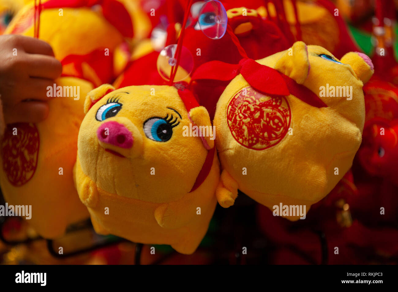 Londra, UK, 10 febbraio, 2019. Anno cinese del maiale, la celebrazione del Capodanno cinese a China Town, Soho, Londra, UKe. Credito: Harishkumar Shah/Alamy Live News Foto Stock