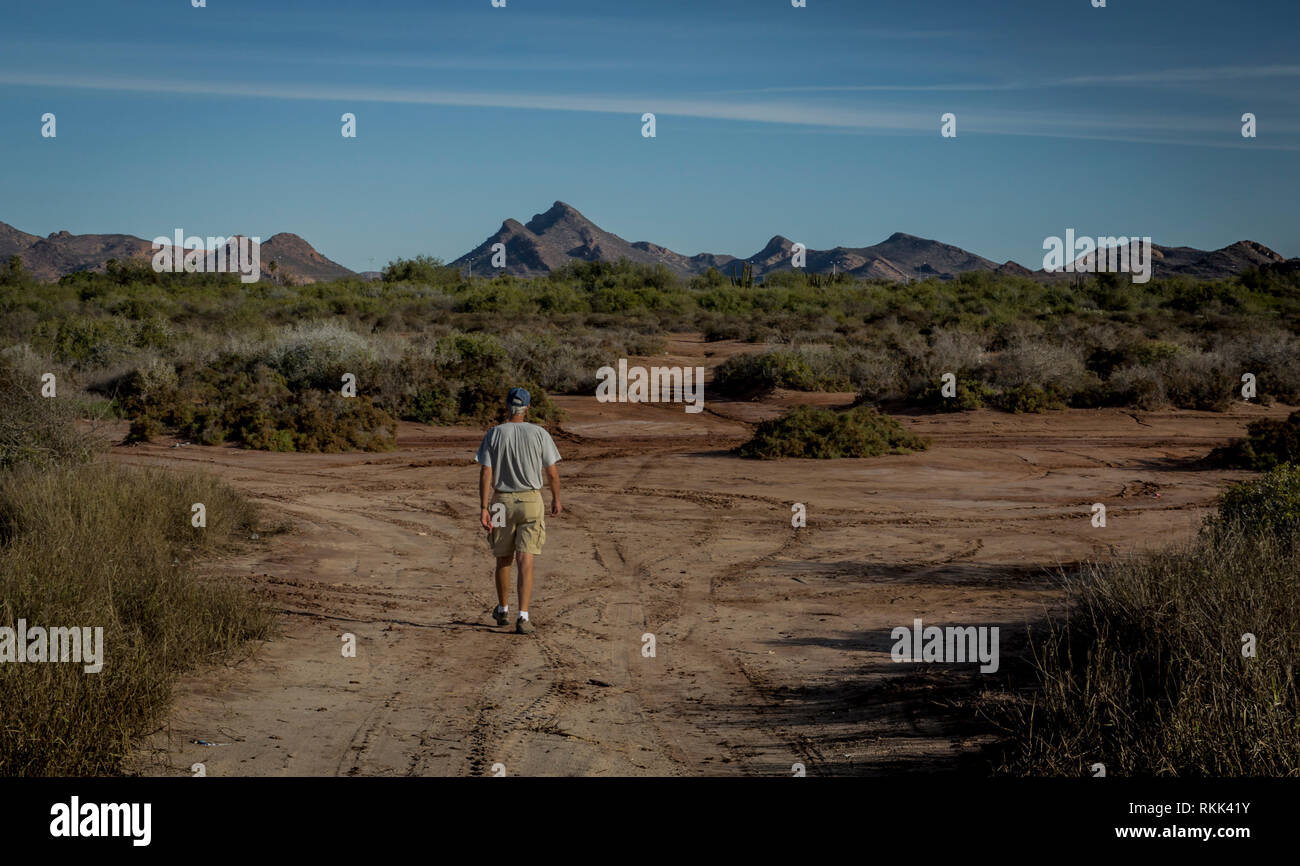 L uomo è a piedi in un percorso nel deserto di Sonora nei pressi del Monte Tetakawi, costa nord-occidentale del Messico. Foto Stock