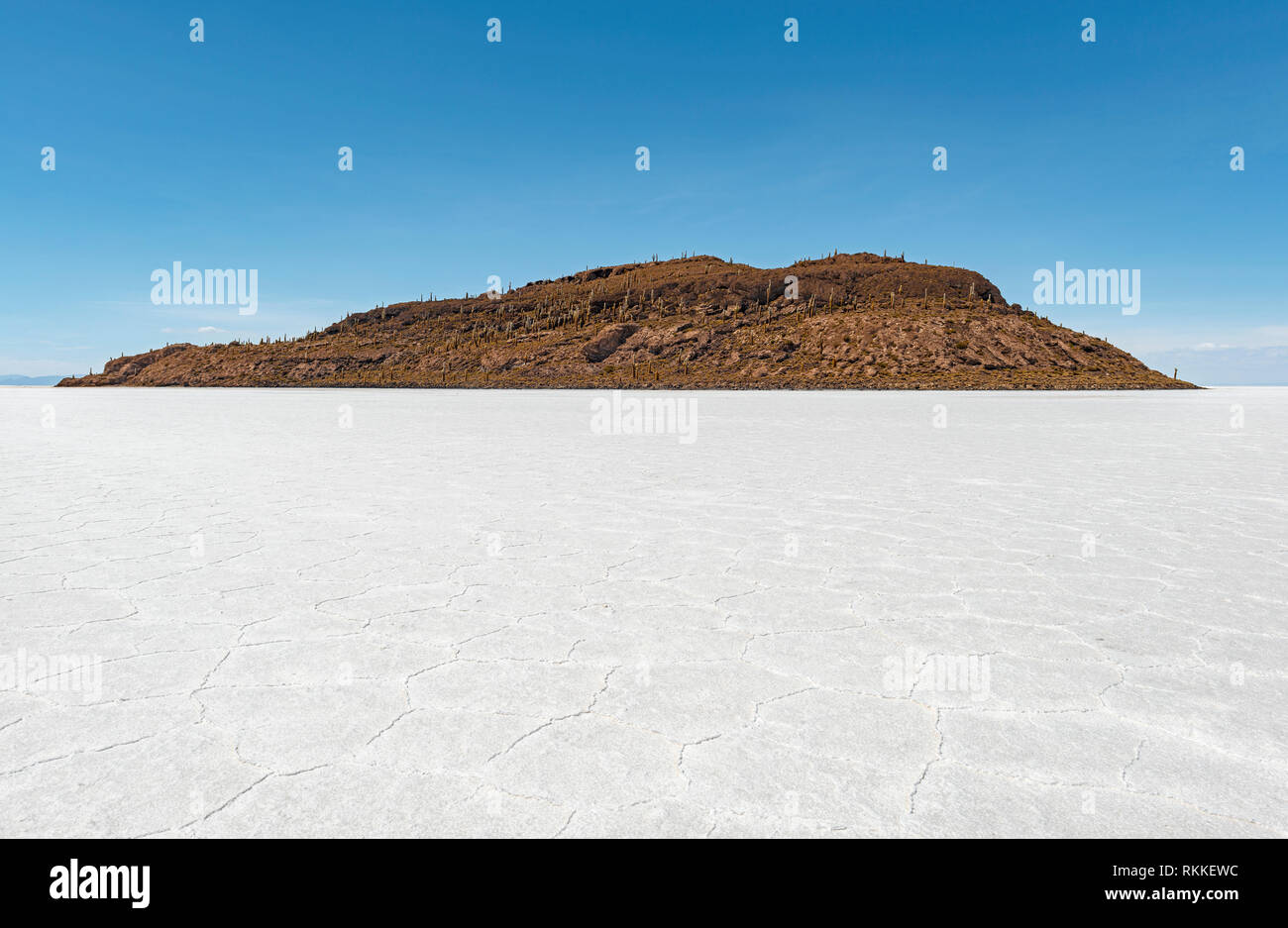Il paesaggio di Incahuasi isola nel mezzo del sale di Uyuni flar o Salar de Uyuni, famosa per il gigante di Atacama cactus, Bolivia. Foto Stock
