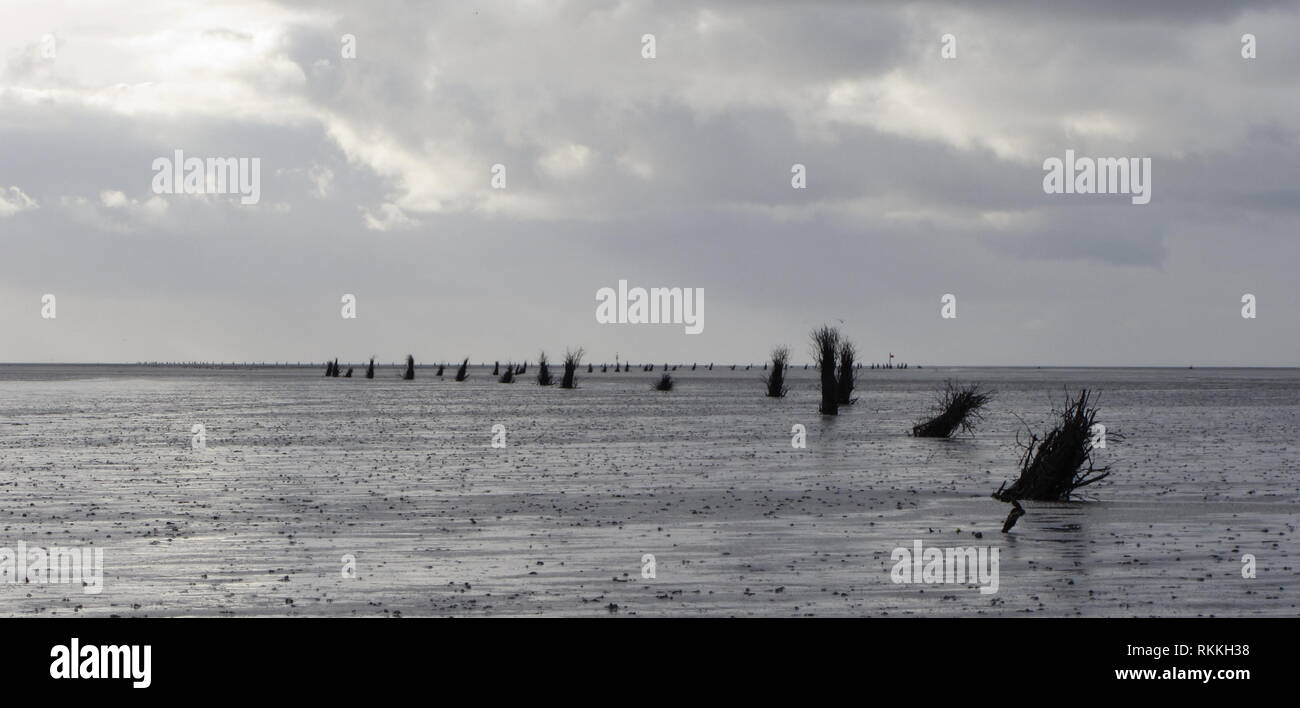 Wattenmeer Nordsee Foto Stock