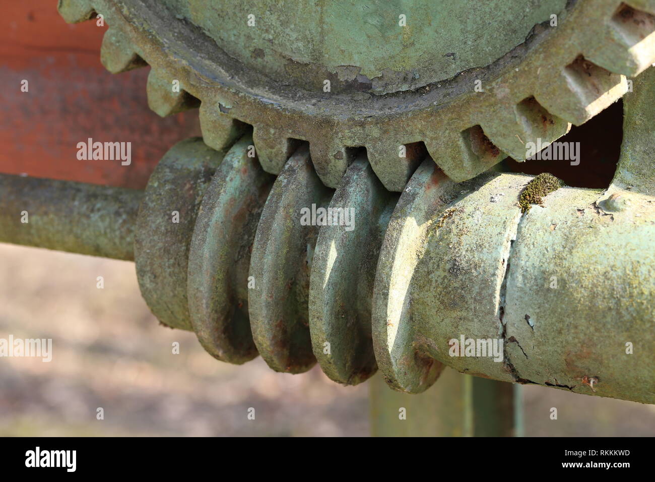 Ingranaggio elicoidale / un azionamento a vite senza fine è a disposizione degli ingranaggi in cui una vite senza fine ingrana con un ingranaggio a vite senza fine Foto Stock
