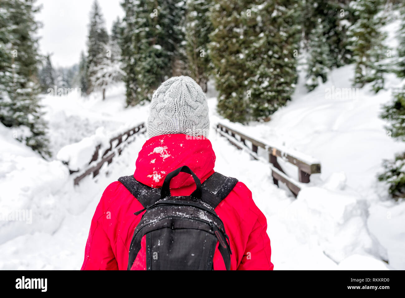 Donna in inverno una giacca calda e grigio cappello di lana con zaino a  piedi nella neve montagne d'inverno Foto stock - Alamy