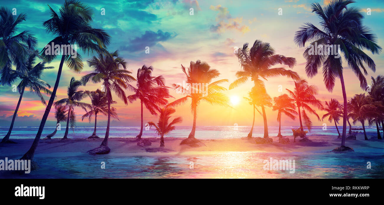 Palme sagome sulla spiaggia tropicale al tramonto - moderni colori Vintage Foto Stock