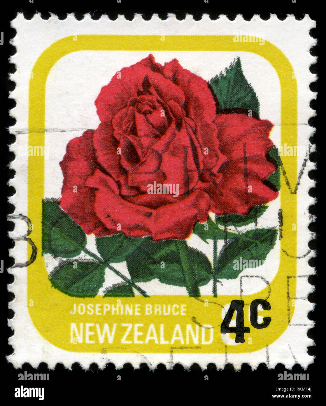 Francobollo dalla Nuova Zelanda nella serie di Roses rilasciato in 1979 Foto Stock