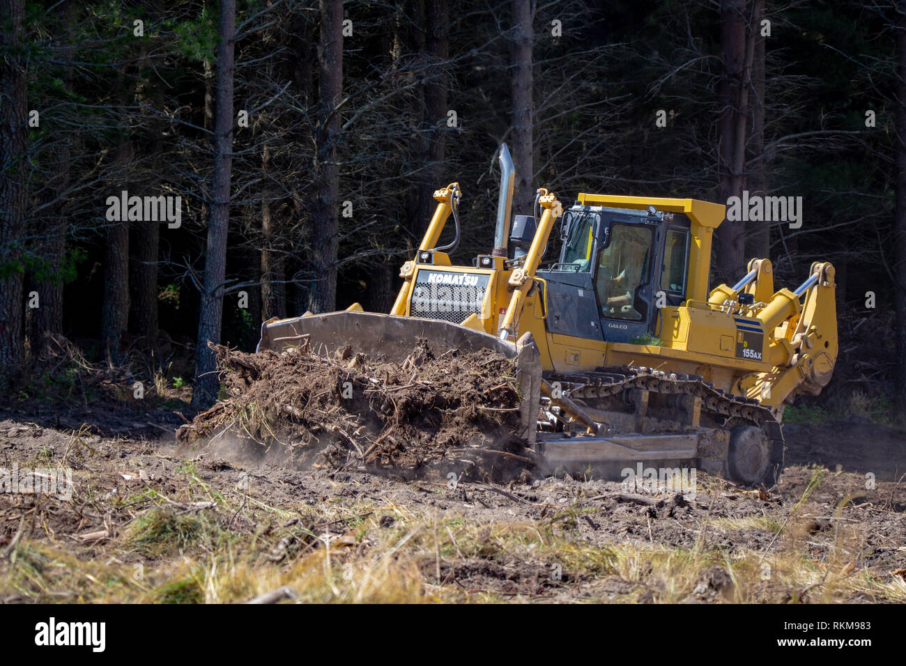 Un grande giallo bulldozer spinge monconi e radici di albero in pile per preparare un sito forestale per il reimpianto in Canterbury, Nuova Zelanda Foto Stock