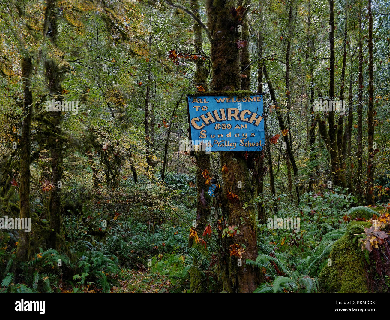 Un segno della Chiesa, in un luogo a pregare in una piovosa western Oregon foresta. Foto Stock