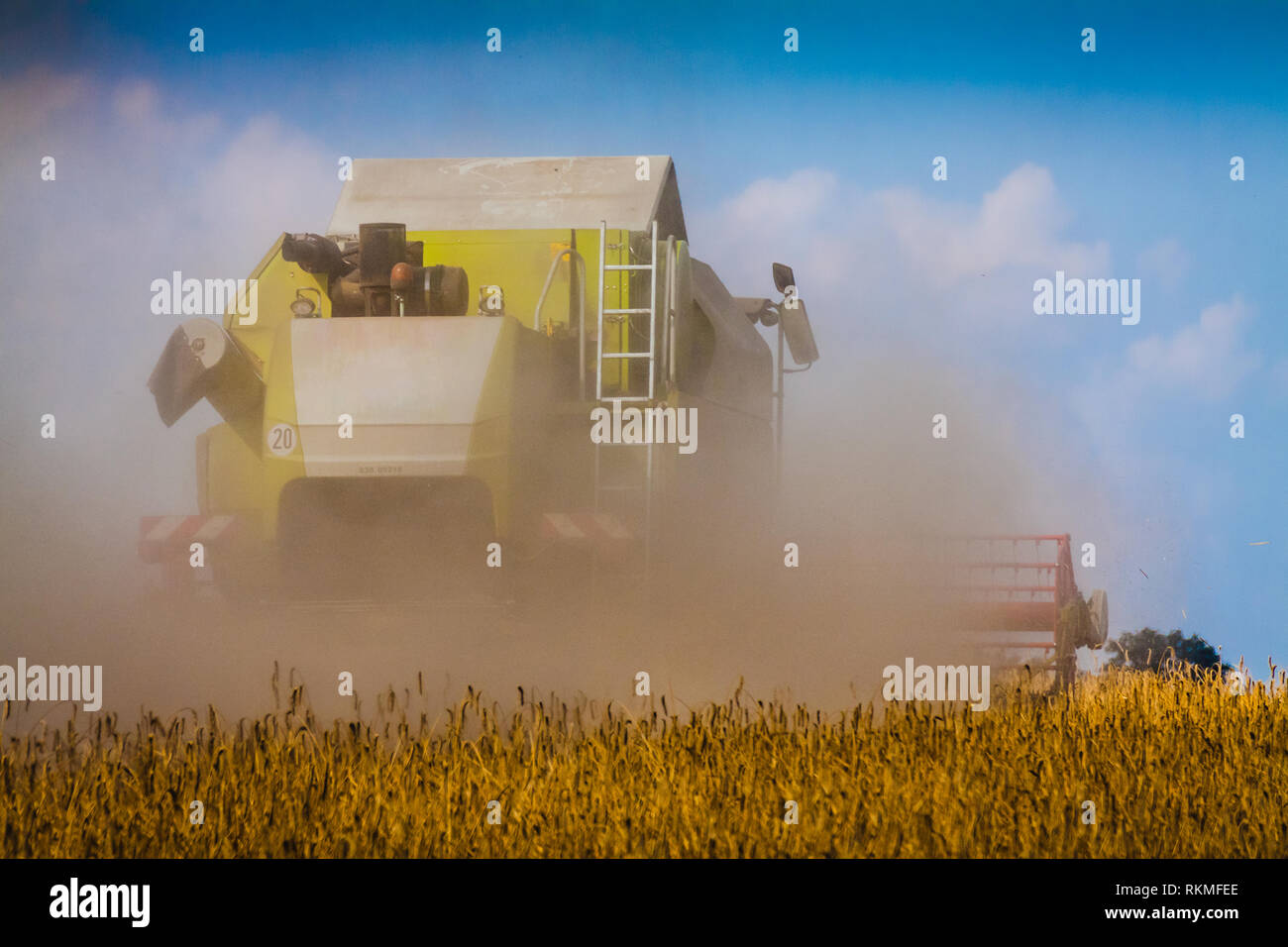 Tempo di raccolta Foto Stock