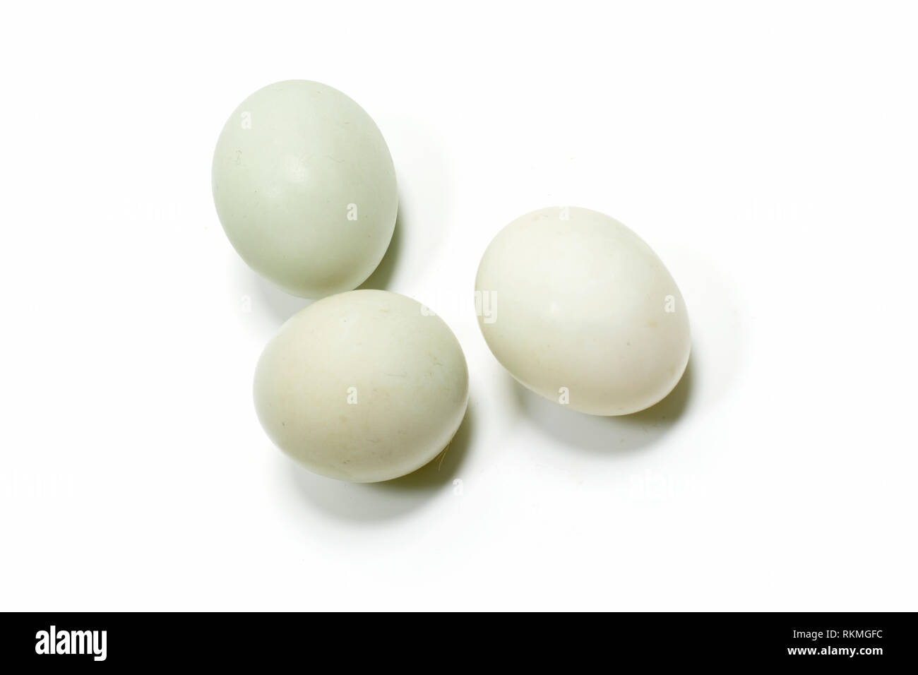 Uova di uccello e di pollo su sfondo bianco Foto Stock