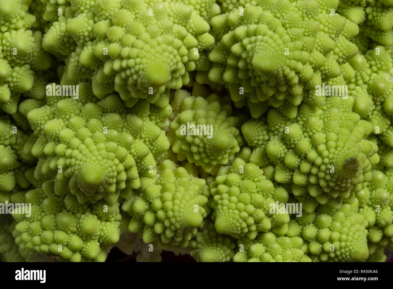 Romanesco broccoli close up Foto Stock