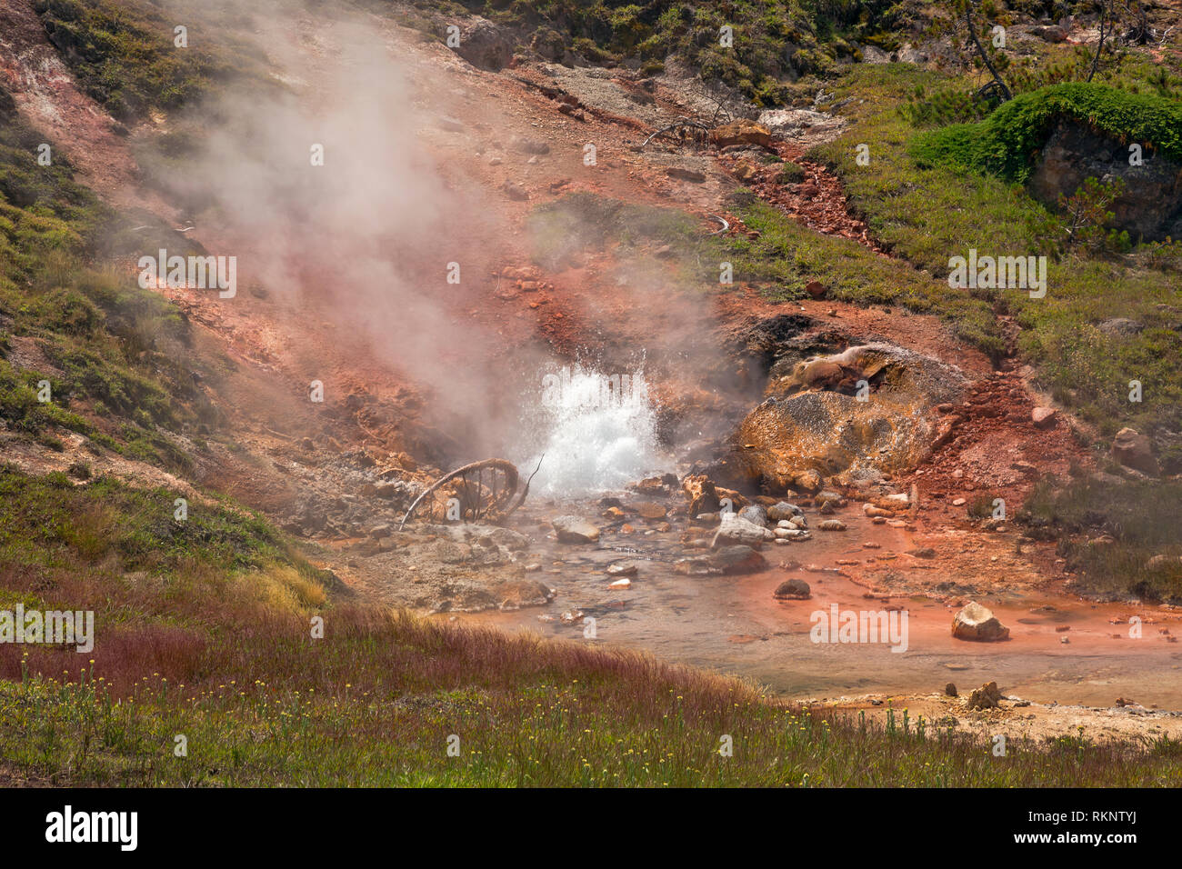 WY03453-00...WYOMING - Sangue Geyser, il rosso proveniente da ossido di ferro, a artista Paint Pots area termale nel parco nazionale di Yellowstone. Foto Stock