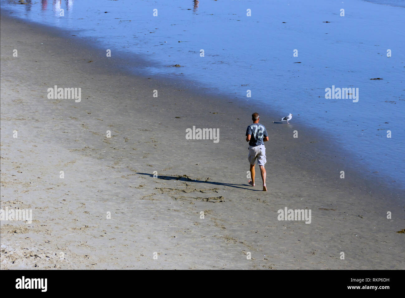 Hombre ejercitandose en la playa, Santa Monica, California Foto Stock