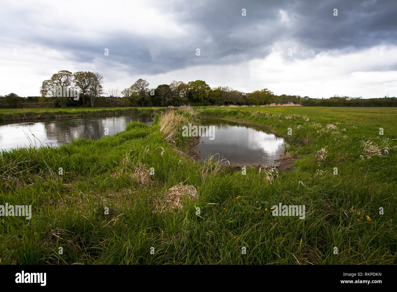 La conservazione del pesce piscina accanto al fiume Avon zona sensibile dal punto di vista ambientale e siti di particolare interesse scientifico Ringwood Hampshire REGNO UNITO Inghilterra Apri Foto Stock