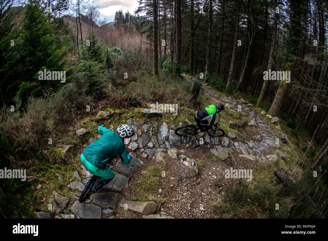 Due uomini in mountain bike cavalcare un sentiero roccioso a Coed-y-Brenin trail center nel Galles del Nord Foto Stock