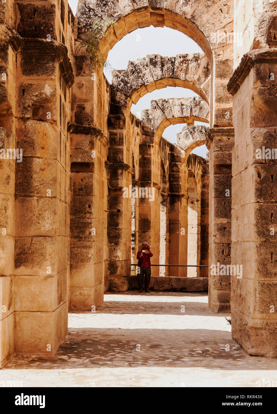 Colonna a El Jem anfiteatro Foto Stock