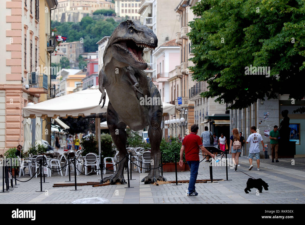 I dinosauri in giro per la città 1:1 La riproduzione in scala dinosaur Tyrannosaurus rex esposta nella città di Cosenza calabria italia 2018 Foto Stock
