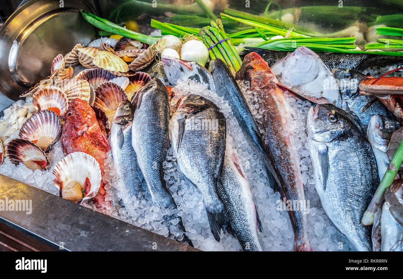 Abbondanza di frutti di mare raffreddata prodotti al mercato del pesce. Close-up. Foto Stock