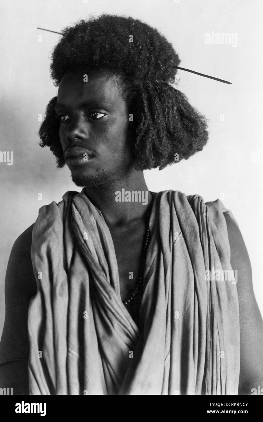 Africa, eritrea, giovane Habab cammello, 1910-20 Foto Stock
