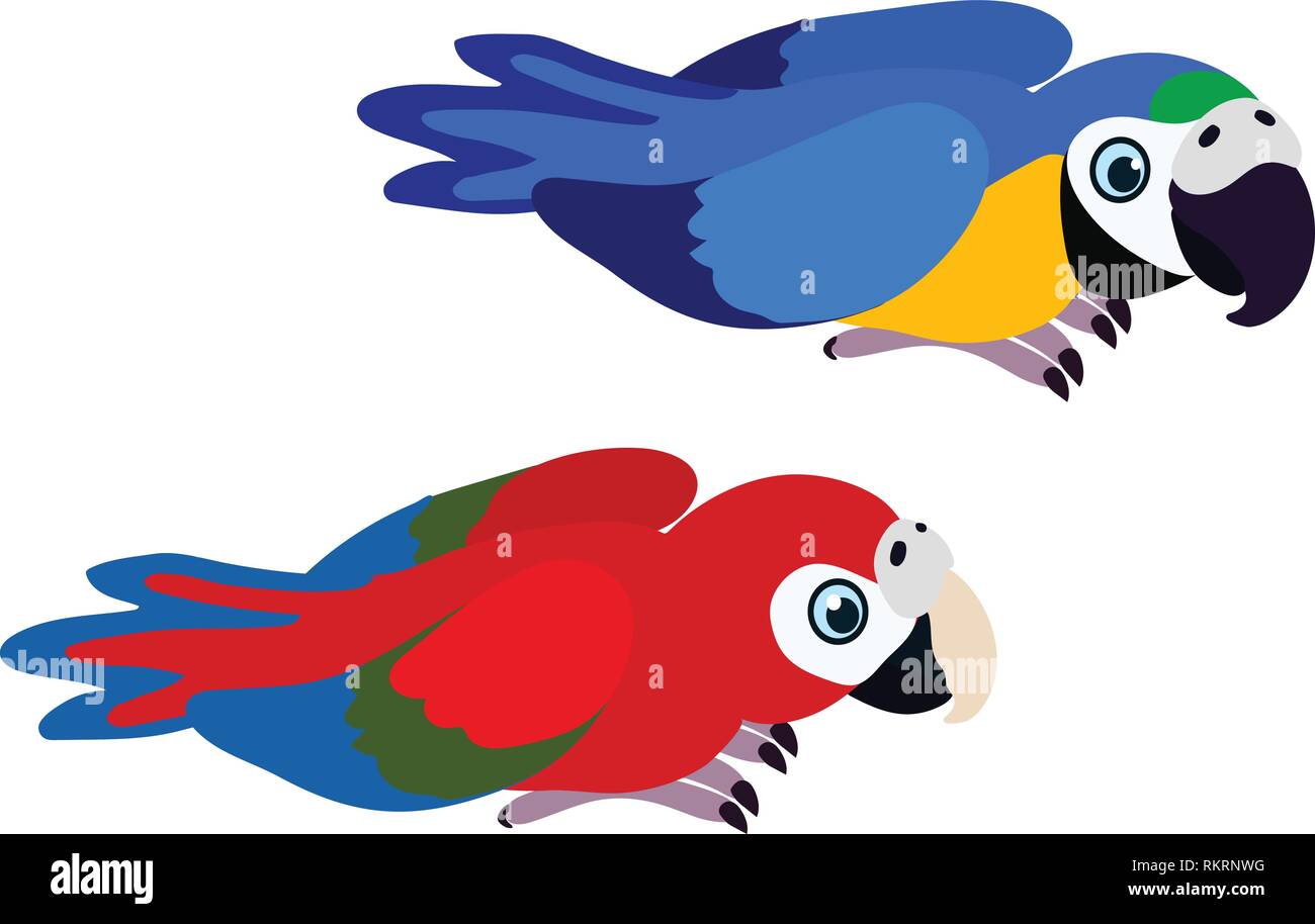 Vector cartoon clipart animali ara, pappagalli macaw Illustrazione Vettoriale