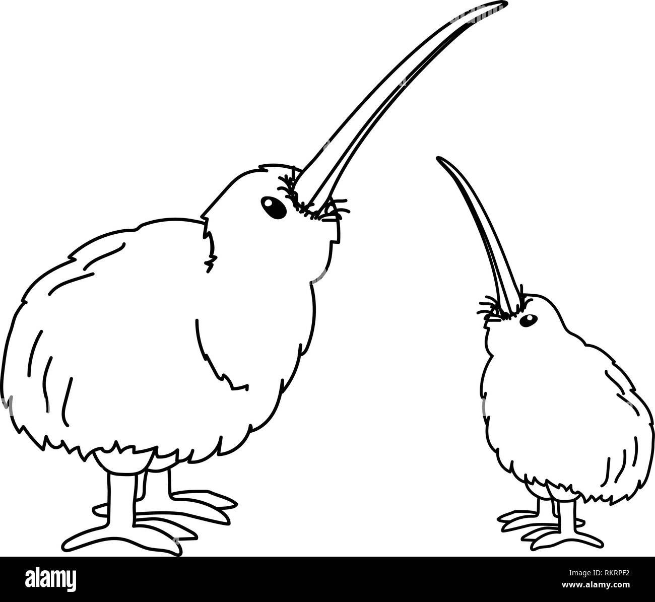 Vector cartoon clipart animale wingless uccello kiwi Illustrazione Vettoriale