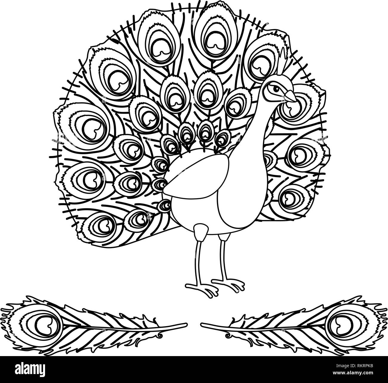 Vector cartoon clipart animale vibrante uccello pavone Illustrazione Vettoriale