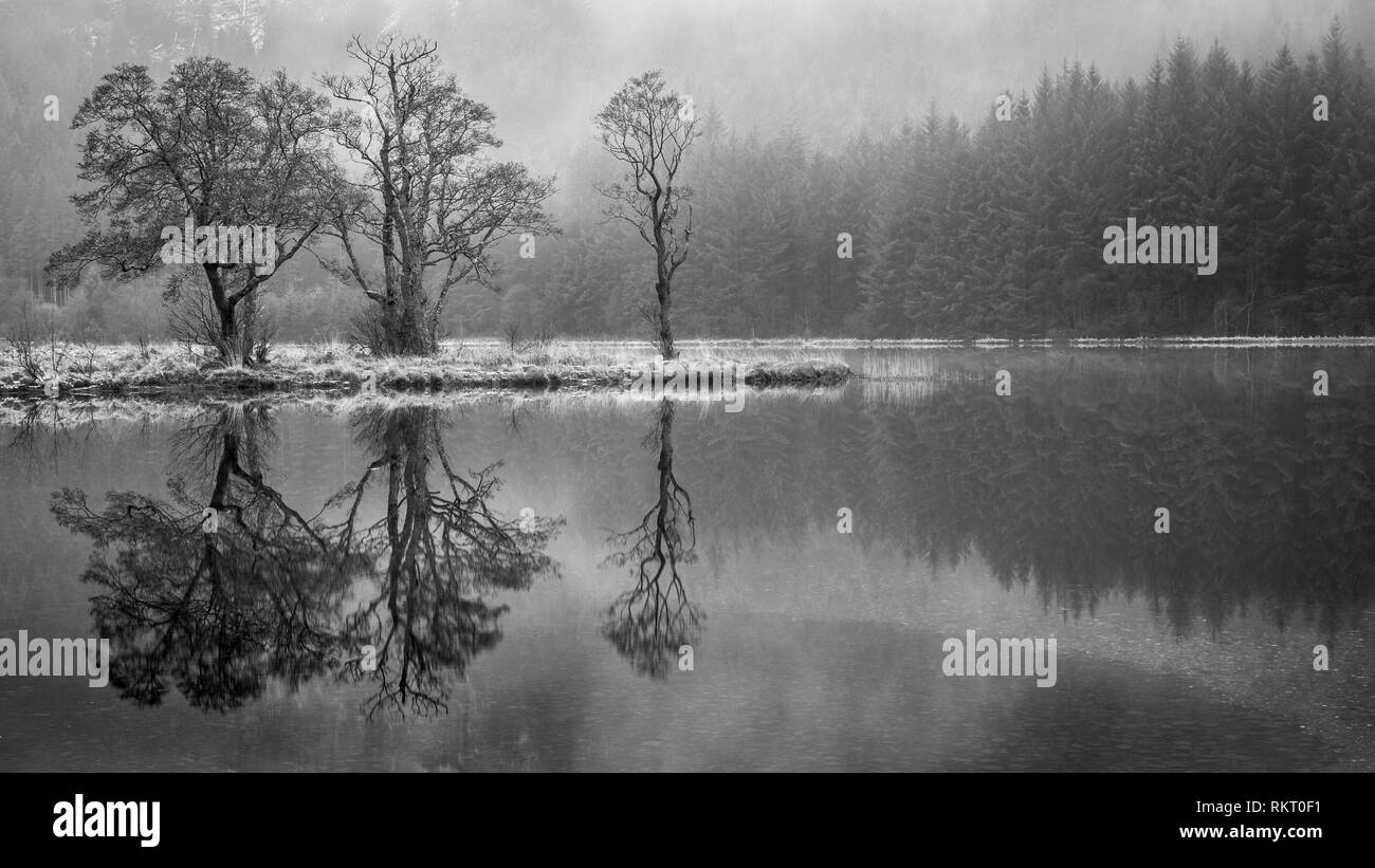 Le riflessioni di tre alberi nelle calme acque del Loch Chon nelle Highlands scozzesi Foto Stock