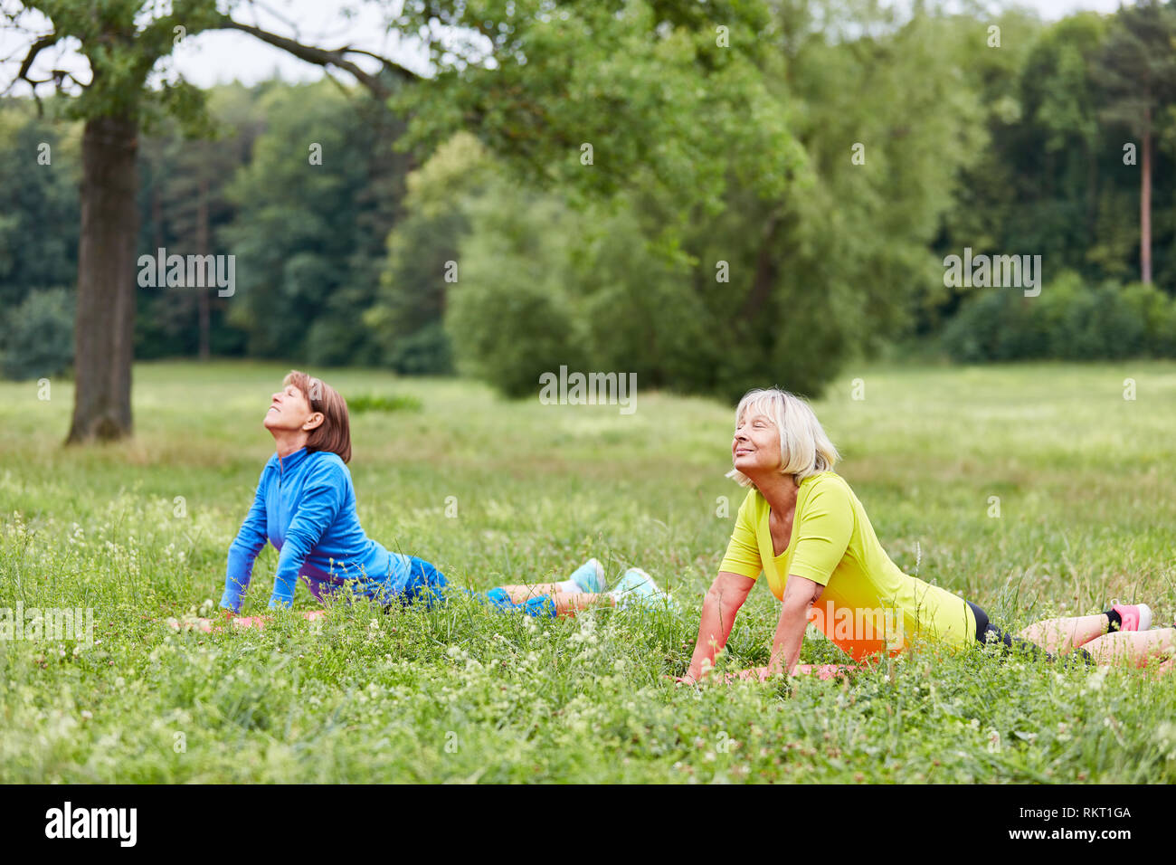 Due donne senior facendo un esercizio di yoga su un prato in estate Foto Stock