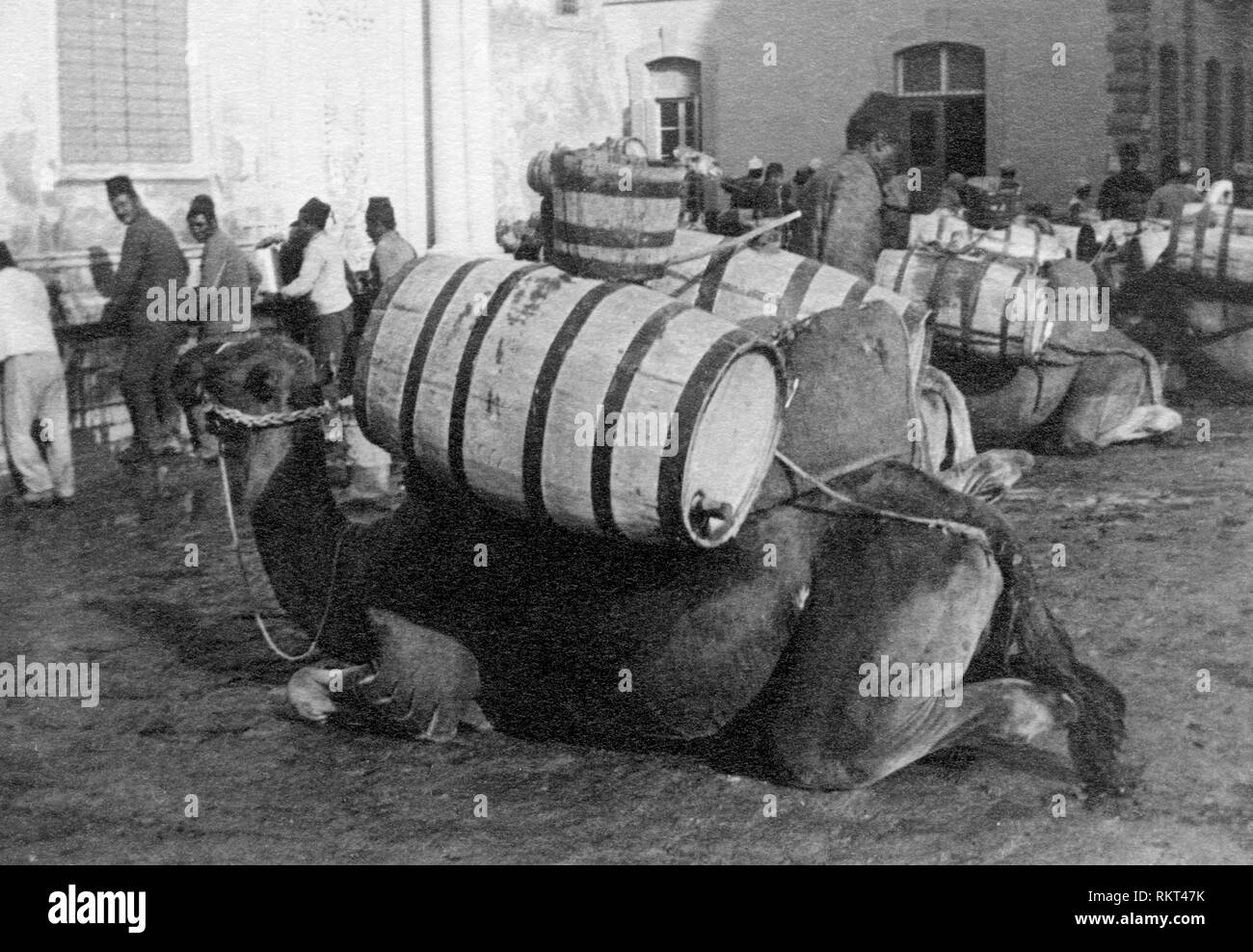 Il nord africa, la Libia Tripoli, 1910 Foto Stock