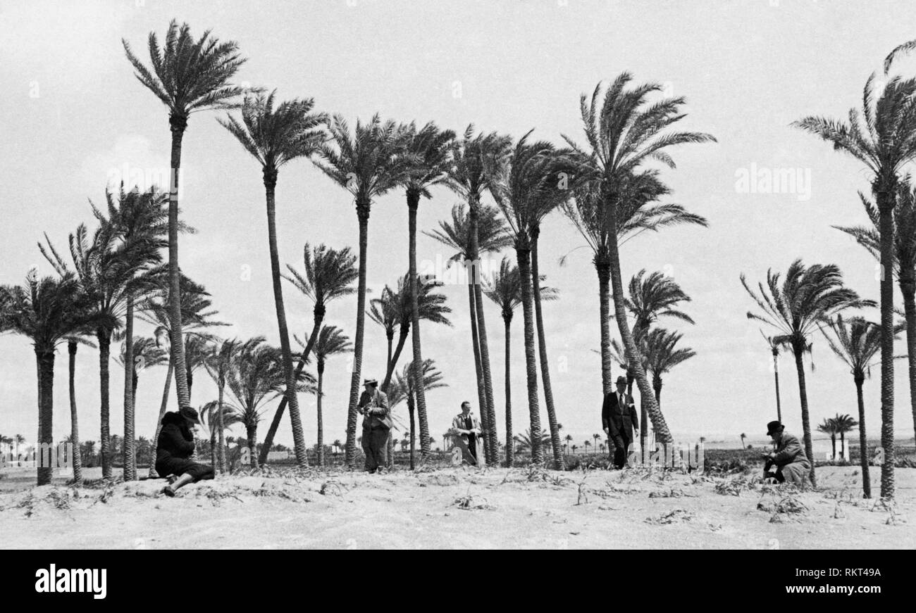 Africa, Libia, tci trekking in un oasi, 1931 Foto Stock
