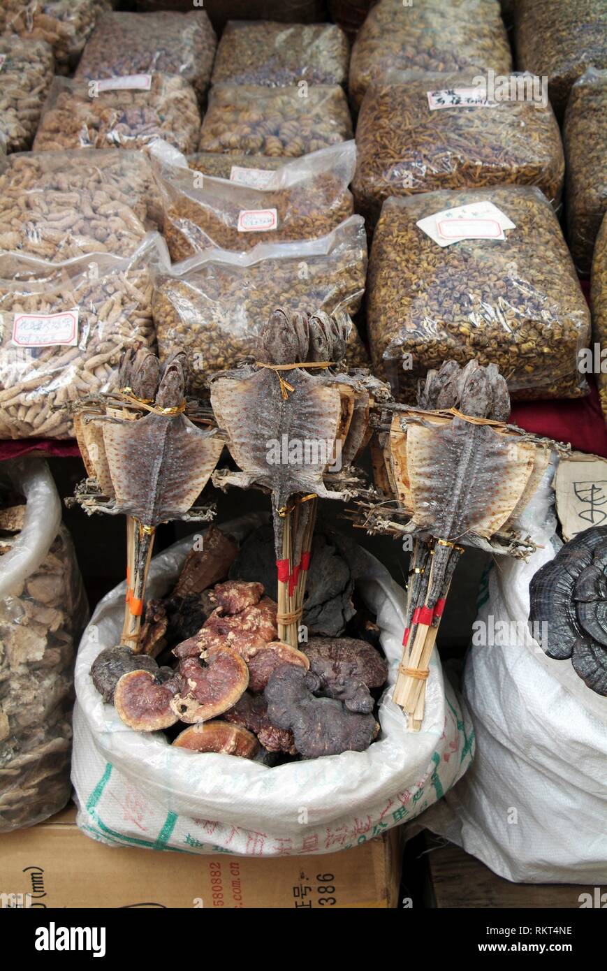Gechi secchi in vendita in un mercato di strada a Guangzhou, Cina. Foto Stock