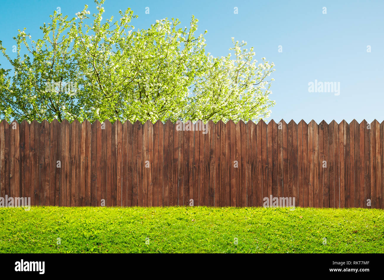Giardino in legno recinzione al cortile interno e albero di fioritura in primavera Foto Stock