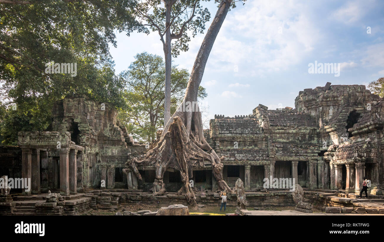 Preah Khantomb raider tempio in Cambogia con albero gigante Foto Stock
