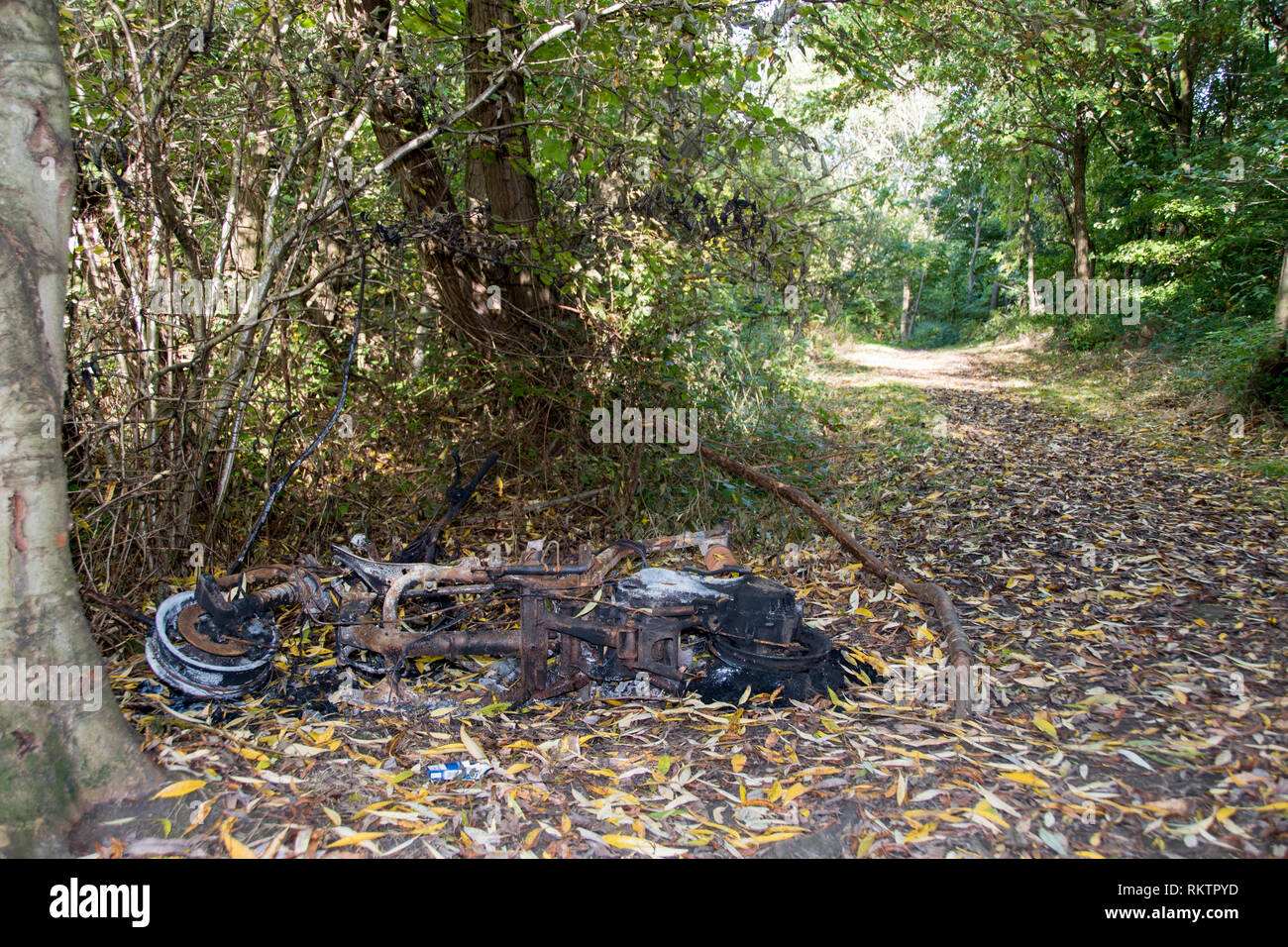 Sheffield, UK: Ott 20 2016: Un bruciata vecchio arrugginito ciclomotore abbandonato nei boschi accanto al percorso di foresta in cui è stato impostato sul fuoco, nel burrone Woodthorpe Foto Stock