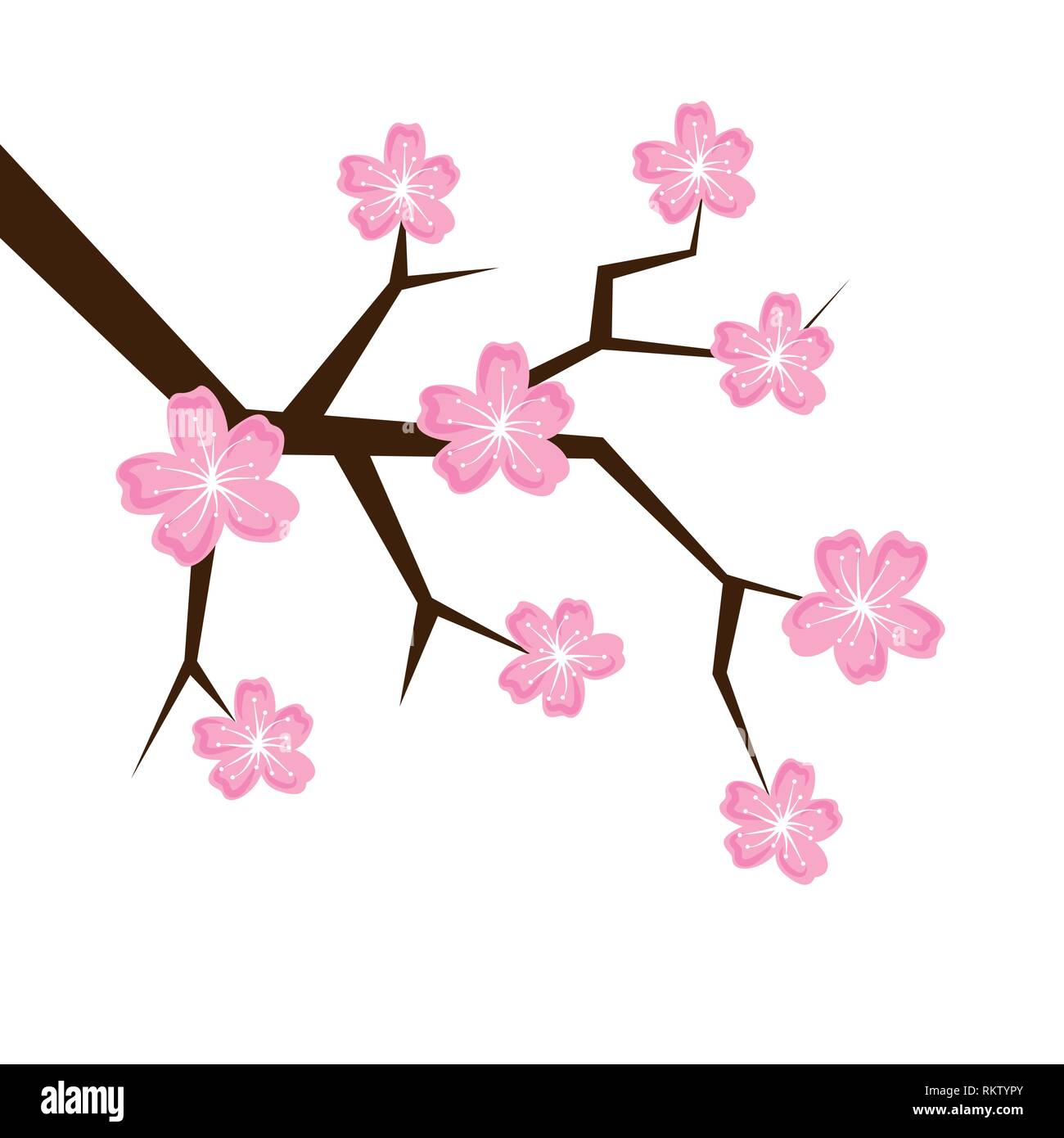 La molla ciliegi in fiore petali di rosa isolato su uno sfondo bianco illustrazione vettoriale EPS10 Illustrazione Vettoriale