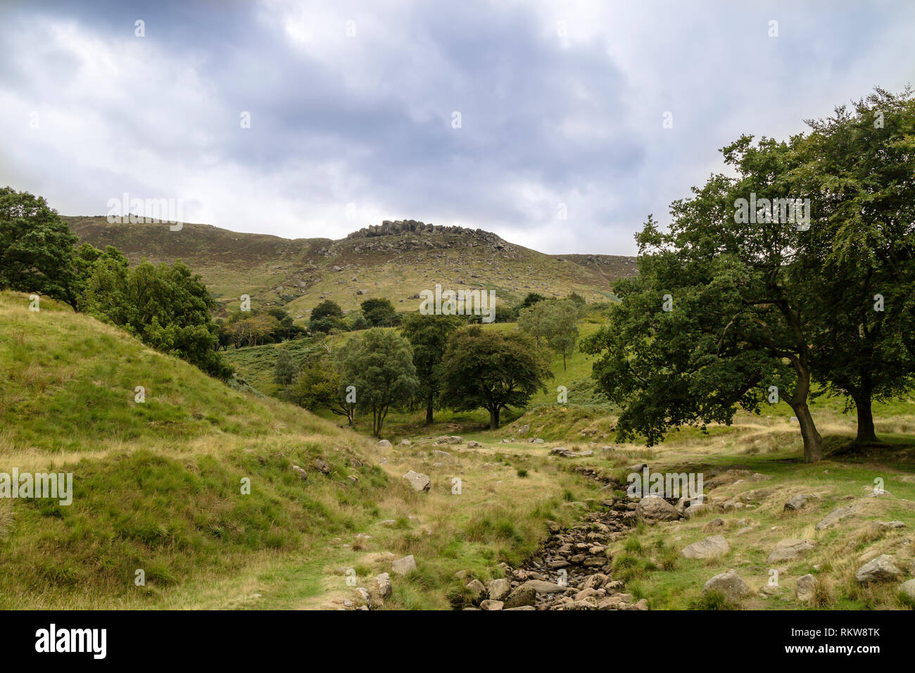 Paesaggio rurale con ripide valli calcaree presso il Parco Nazionale di Peak District è in Inghilterra centrale. Foto Stock