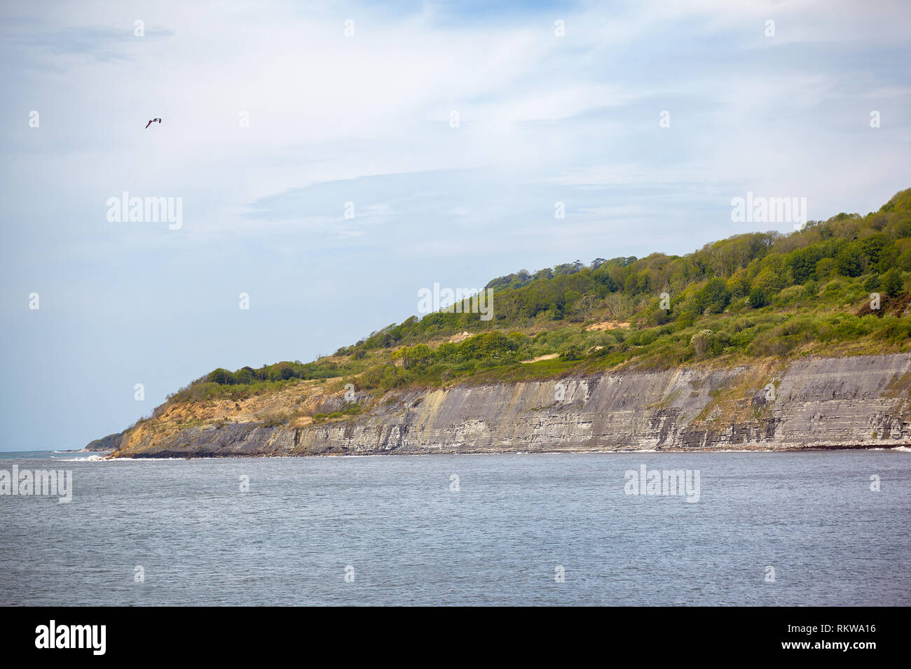 Il Chippel Bay e scogliere di rocce Liassic con il Monmouth Beach come visto dal porto di Cobb (Lyme Regis). Il West Dorset. Inghilterra Foto Stock