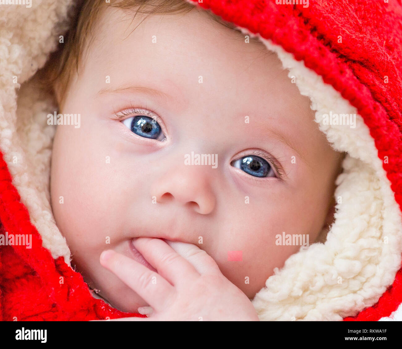 Un blue eyed Baby girl in un caldo cappuccio rosso. Foto Stock