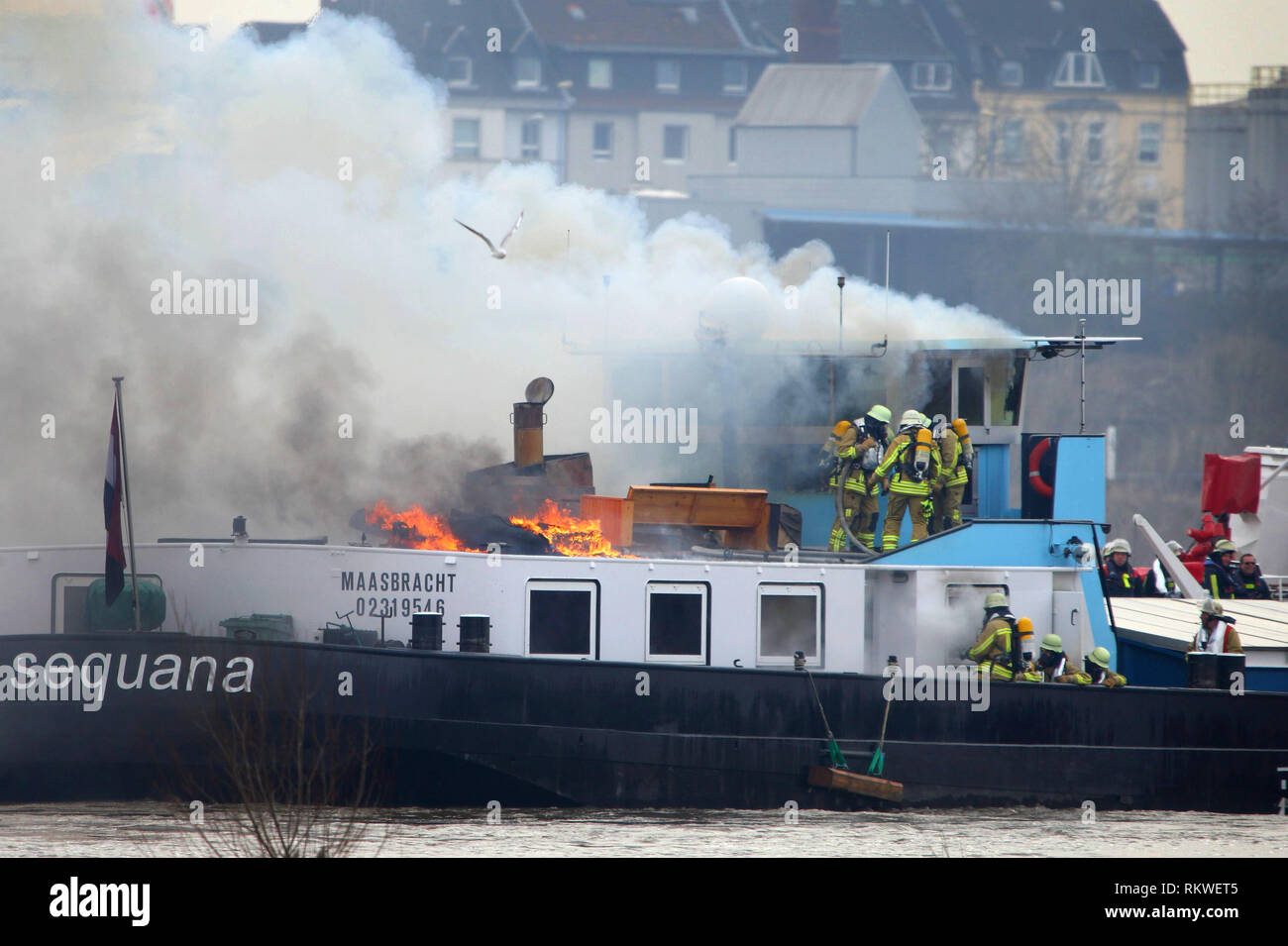 Duisburg, Germania. 12 Feb, 2019. Una nave da carico ustioni sul Reno nei pressi di Duisburg. I vigili del fuoco sul Reno contro un incendio su un cargo caricata con carbone utilizzando due di lotta antincendio imbarcazioni. Acqua gli ufficiali di polizia ha salvato il comandante e un altro uomo dall'olandese freighter vicino a Duisburg. Durante il viaggio l'equipaggio notato il fuoco all'interno della nave nel vano motore e ha gettato l'ancora. Credito: Fotoagentur Drabben/samla.de/dpa/Alamy Live News Foto Stock