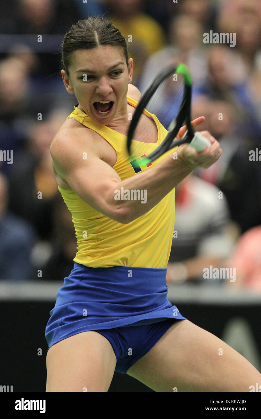 Ostrava, Repubblica Ceca. 10 Febbraio, 2019. Il rumeno tennista Simona Halep in azione durante la partita contro il Karolina Pliskova della Repubblica ceca durante la Fed Cup World Group, 1° round, tra Repubblica ceca e la Romania, in Ostrava, Repubblica Ceca, il 10 febbraio 2019. Credito: Petr Sznapka/CTK foto/Alamy Live News Foto Stock