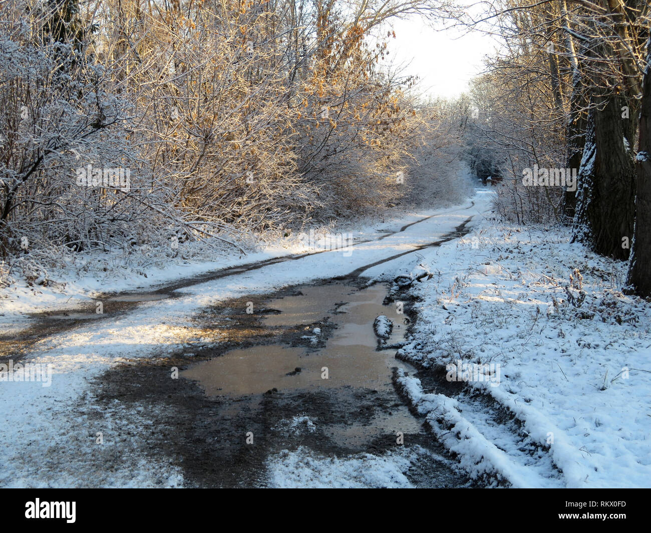Coperta di neve street in campagna dopo la nevicata, strada fangosa in giornata soleggiata. In inverno il paesaggio rurale con off-road, pozzanghere congelate nella foresta Foto Stock