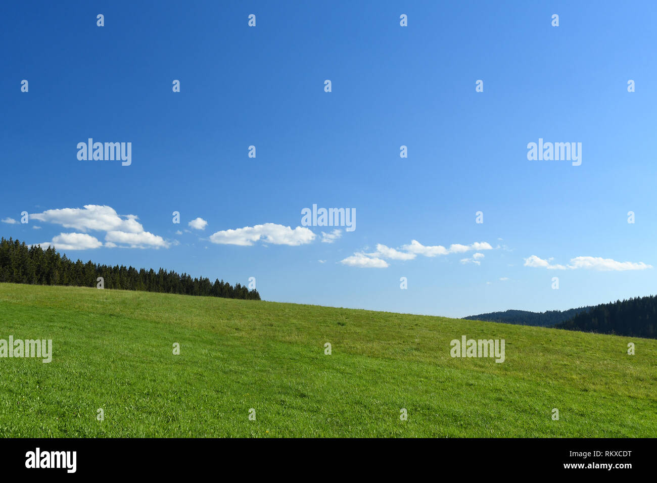 Foresta Nera prato contro il cielo blu, Germania, Europa Foto Stock